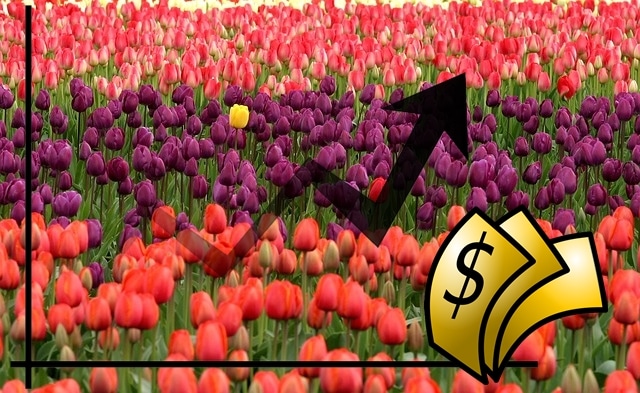 Geschichte der Börse – die Tulpen-Blase (Tulpomanie)