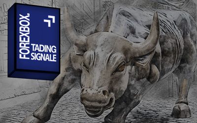 KARSTEN KAGELS – TRADER DURCH UND DURCH