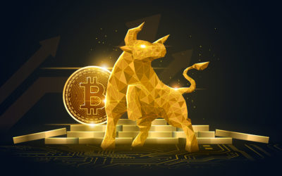 Kryptowährungen – Bitcoin und Co. – Was steckt hinter dem virtuellen Geld?