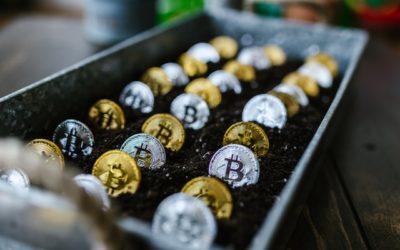 Ein vollständiger Überblick über die weltweit führende digitale Währung, Bitcoin!